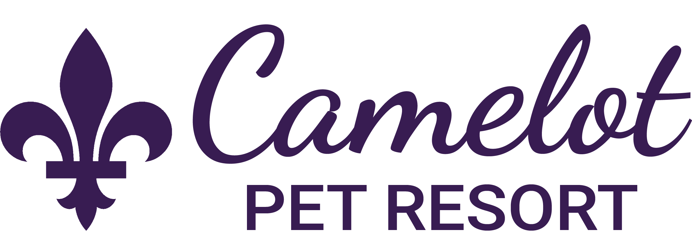 Camelot Logo