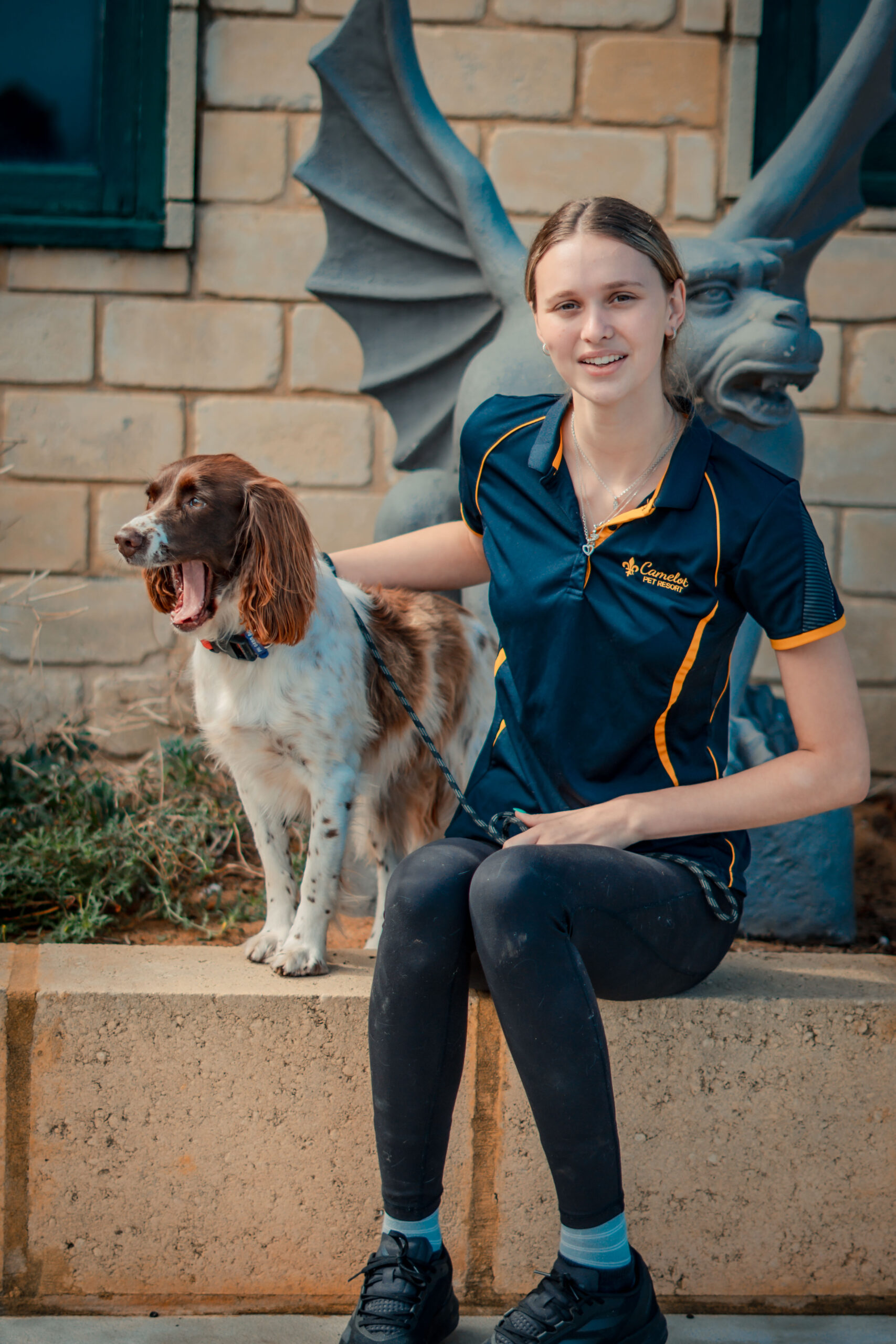 FUZ09714 https://camelotpetresort.com.au/wp-content/uploads/2026/06/FUZ09714-scaled.jpg