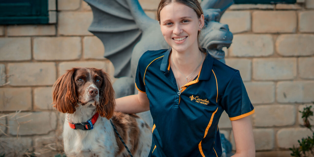 Preparing Your Dog for Boarding: A Stress-Free Guide for WA Pet Owners