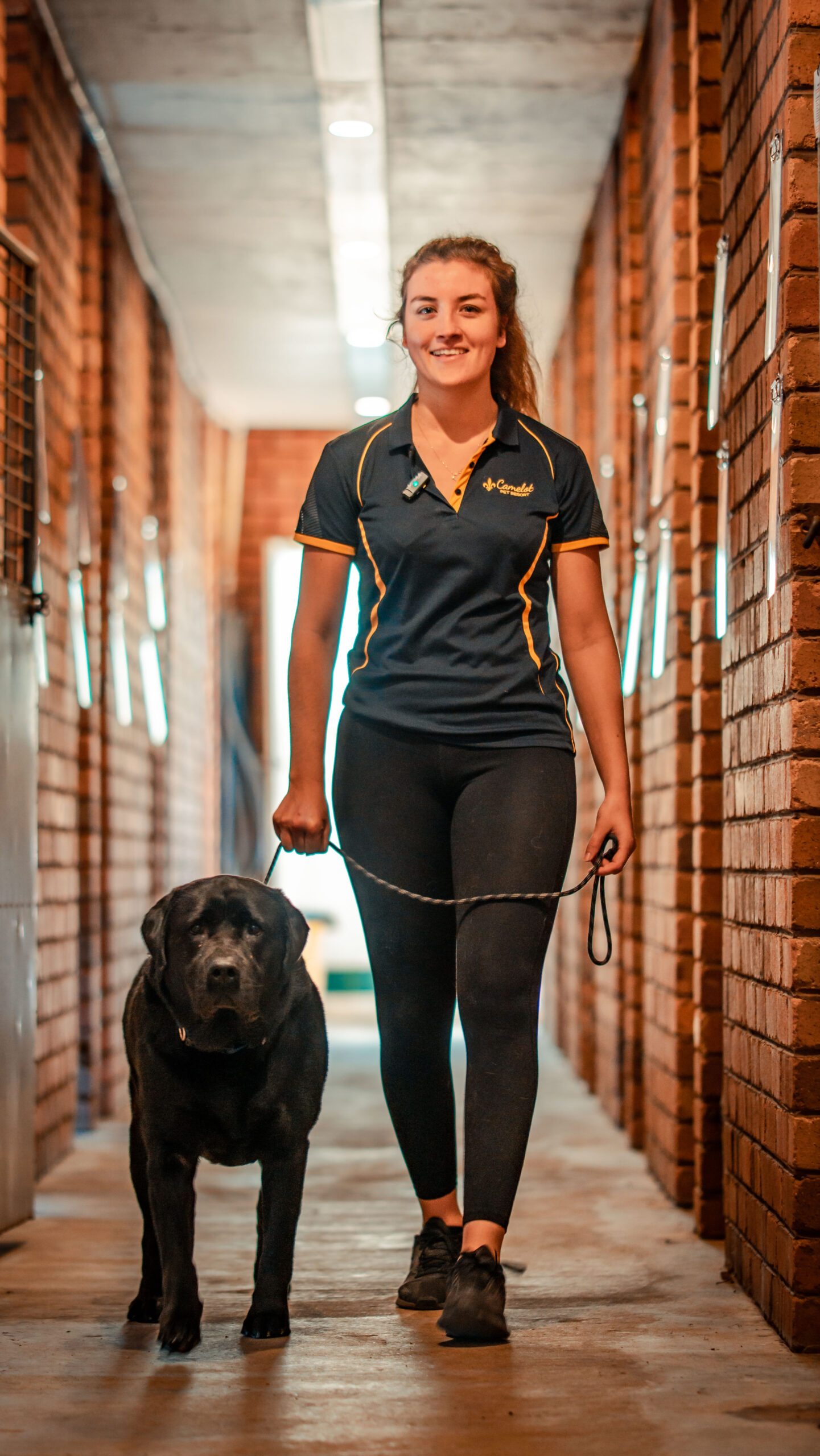 FUZ09928 https://camelotpetresort.com.au/wp-content/uploads/2026/06/FUZ09928-scaled.jpg