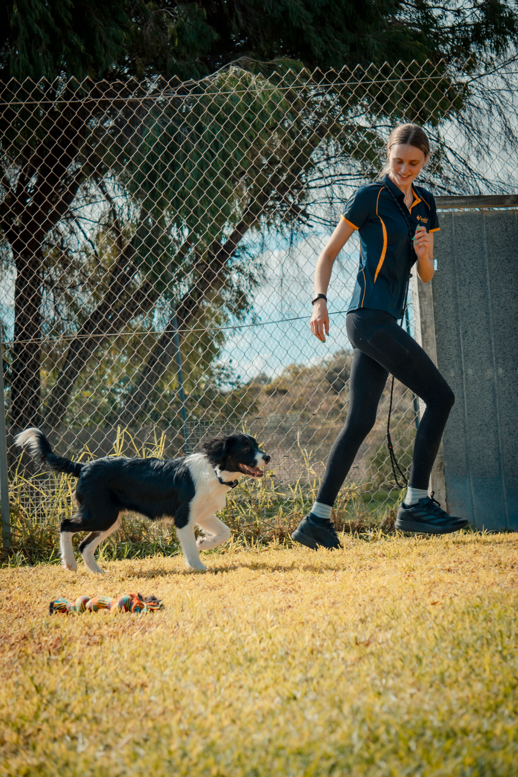 XEI09883 https://camelotpetresort.com.au/wp-content/uploads/2026/06/XEI09883-scaled.jpg