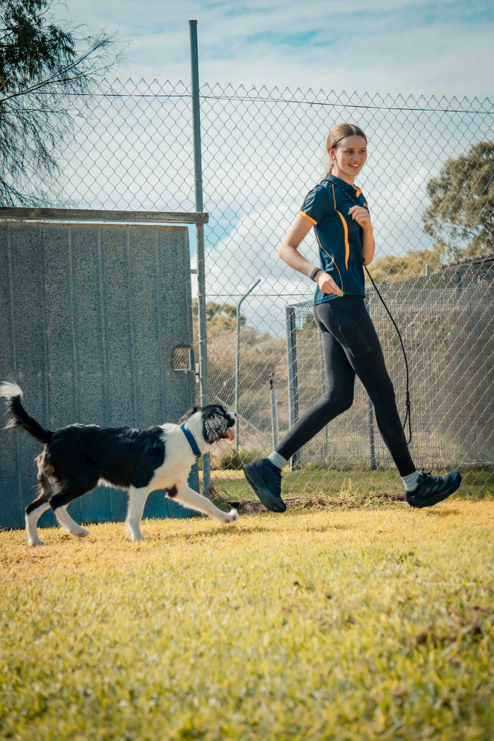 XEI09888 https://camelotpetresort.com.au/wp-content/uploads/2026/06/XEI09888-scaled.jpg