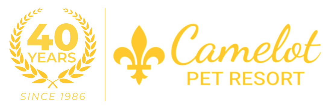 Camelot Pet Resort