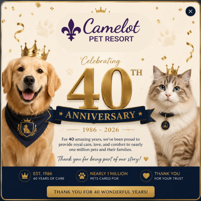 https://camelotpetresort.com.au/wp-content/uploads/2026/07/Frame-27.png