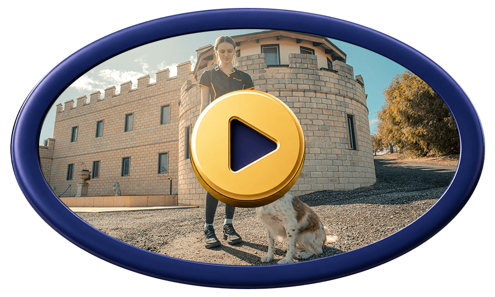 https://camelotpetresort.com.au/wp-content/uploads/2026/07/video-frame-w-image-2.png