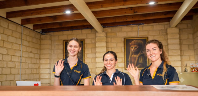 staff staff